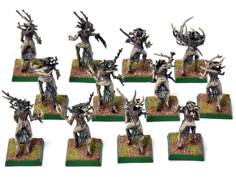 Games Workshop WOOD ELVES 12 Dryads #1 PRO PAINTED Warhammer Fantasy