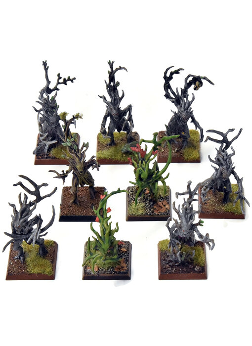 WOOD ELVES 9 Dryads #6  Warhammer Fantasy