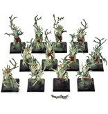 Games Workshop WOOD ELVES 12 Dryads #5  Warhammer Fantasy
