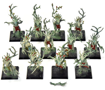 WOOD ELVES 12 Dryads #5  Warhammer Fantasy