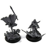 Games Workshop ADEPTA SORORITAS Ephrael Stern & Kyganil #1 Badly Glue Warhammer 40K