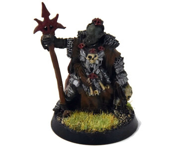 MIDDLE-EARTH Mordor Shaman #1 METAL WELL PAINTED LOTR