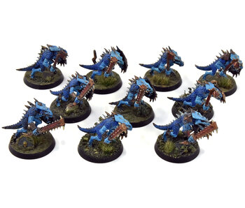 SERAPHON 10 Saurus Warriors #1 WELL PAINTED Sigmar