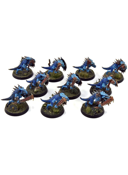SERAPHON 10 Saurus Warriors #1 WELL PAINTED Sigmar
