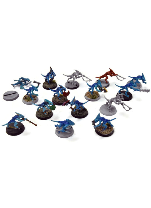SERAPHON 15 Skinks #1 Sigmar