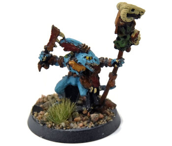 SERAPHON Skink Starpriest #1 METAL Sigmar