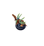 Games Workshop SERAPHON Skink Starpriest #1 Painted Warhammer Sigmar