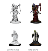 Wizkids D&D Unpainted Minis Wv6 Green Hag/night Hag