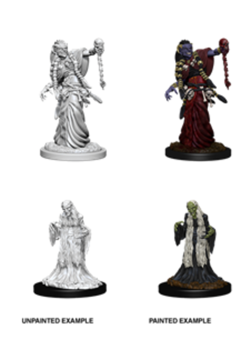 D&D Unpainted Minis Wv6 Green Hag/night Hag