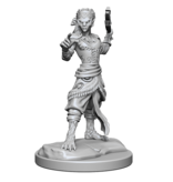 Wizkids D&D Unpainted Minis Wv20 Shifter Fighter