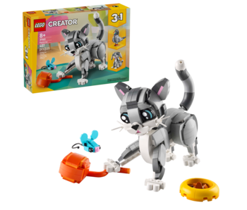Playful Cat (31163)