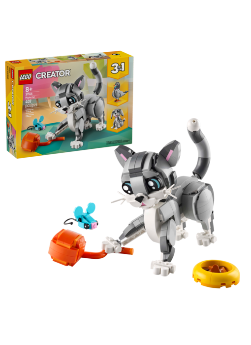 Playful Cat (31163)
