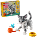 Playful Cat (31163)