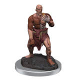 Wizkids D&d Unpainted Minis Wv17 Flesh Golems
