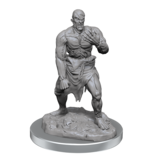 Wizkids D&d Unpainted Minis Wv17 Flesh Golems
