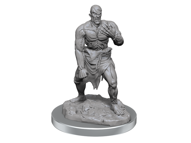 Wizkids D&d Unpainted Minis Wv17 Flesh Golems
