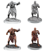 Wizkids D&d Unpainted Minis Wv17 Flesh Golems