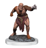 Wizkids D&d Unpainted Minis Wv17 Flesh Golems