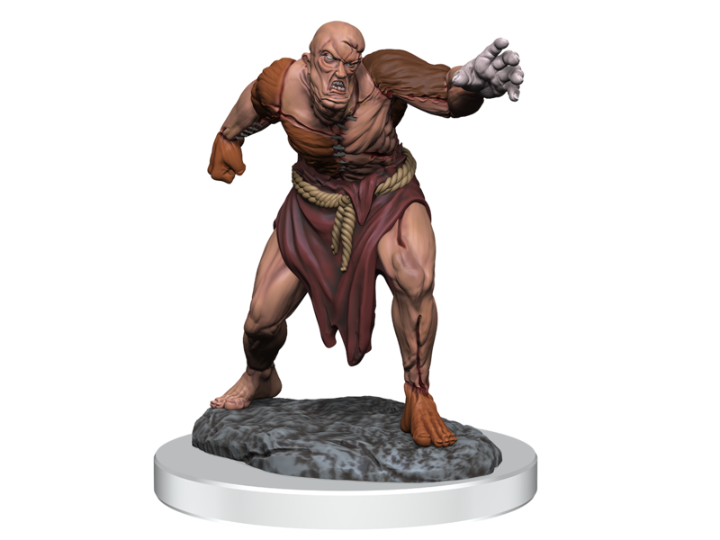 Wizkids D&d Unpainted Minis Wv17 Flesh Golems