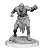 Wizkids D&d Unpainted Minis Wv17 Flesh Golems