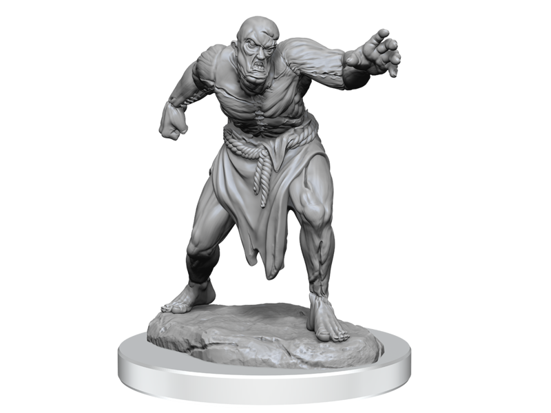 Wizkids D&d Unpainted Minis Wv17 Flesh Golems