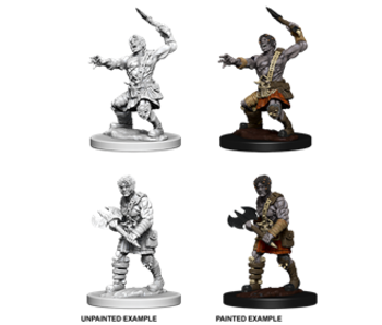 D&d Unpainted Minis Wv6 Nameless One