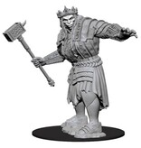 Wizkids D&d Unpainted Minis Wv7 Fire Giant