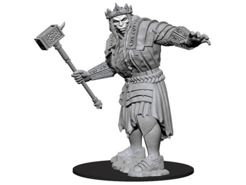 Wizkids D&d Unpainted Minis Wv7 Fire Giant