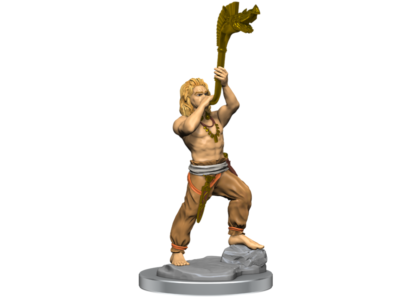 Wizkids Wizkids Unpainted Minis Wv17 Brigante Celts