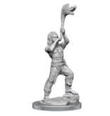 Wizkids Wizkids Unpainted Minis Wv17 Brigante Celts
