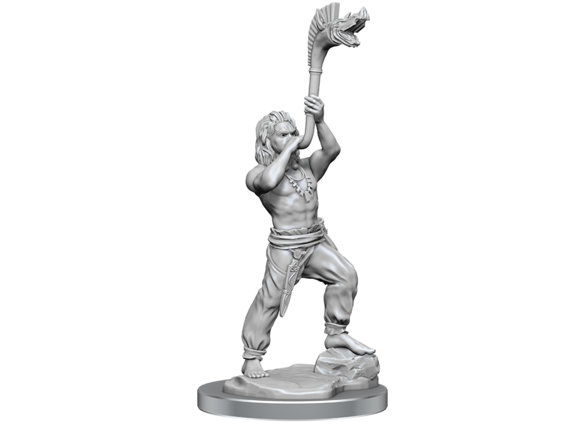 Wizkids Wizkids Unpainted Minis Wv17 Brigante Celts