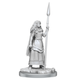 Wizkids Wizkids Unpainted Minis Wv17 Brigante Celts