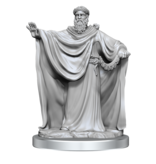 Wizkids Wizkids Unpainted Minis Wv17 Brigante Celts