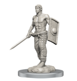 Wizkids Wizkids Unpainted Minis Wv17 Brigante Celts