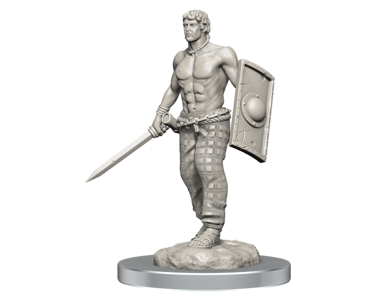 Wizkids Wizkids Unpainted Minis Wv17 Brigante Celts