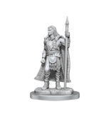 Wizkids Wizkids Unpainted Minis Wv17 Brigante Celts