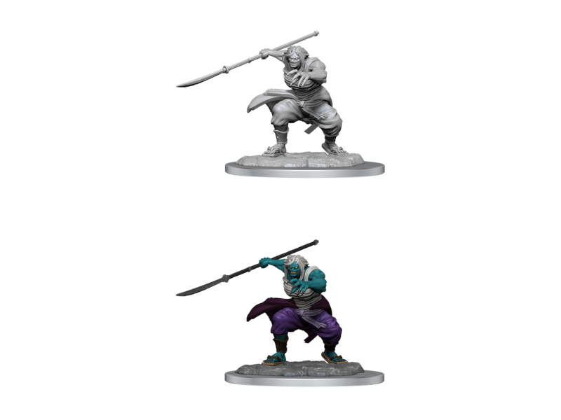 Wizkids D&d Unpainted Minis Wv17 Oni Female