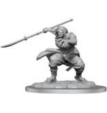 Wizkids D&d Unpainted Minis Wv17 Oni Female