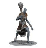 Wizkids D&d Unpainted Minis Wv19 Stone Giant
