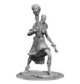 Wizkids D&d Unpainted Minis Wv19 Stone Giant