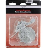 Wizkids D&d Unpainted Minis Wv23 Firegaunt