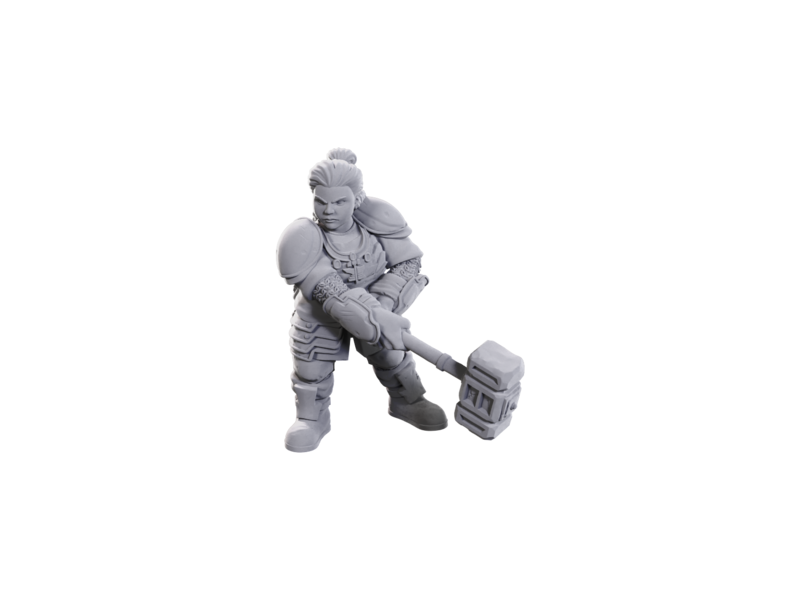 Wizkids D&d Unpainted Minis Limited Edition 50th Anniversary Dwarves