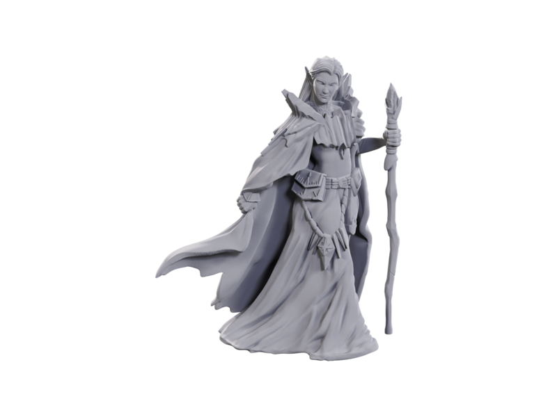 Wizkids D&d Unpainted Minis Limited Edition 50th Anniversary Elves
