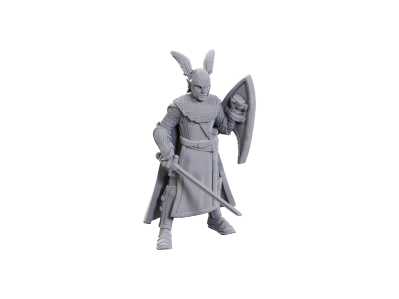 Wizkids D&d Unpainted Minis Limited Edition 50th Anniversary Elves