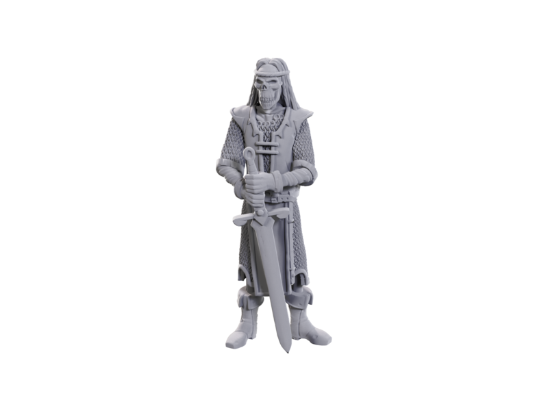 Wizkids D&d Unpainted Minis Limited Edition 50th Anniversary Skeleton Knights