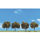 Woodland Classics TR3592 - Orange Tree 2Inches to 3Inches - 4/pkg