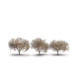Woodland Scenics Woodland Classics TR3594 - Cherry Blossom Trees 1 3/4 to 2 1/4 - 3/pkg