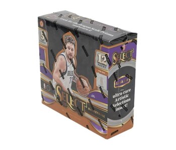 Panini Select Basketball 23/24 International Hobby Box