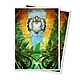 Ultra Pro D-pro Apex MTG Multiplanar Race Set