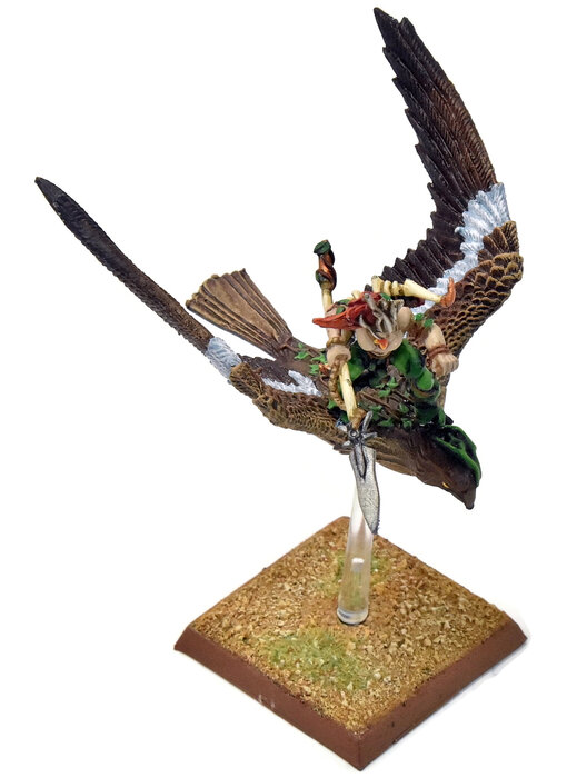 WOOD ELVES Warhawk Rider #3 PRO PAINTED METAL Fantasy